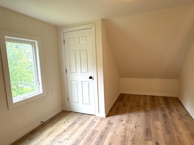 251 Colfax Ave NE, Hector, MN 55342 - additional living space with light wood-style flooring