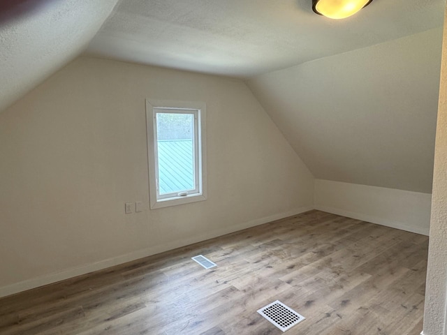 251 Colfax Ave NE, Hector, MN 55342 - additional living space featuring vaulted ceiling, wood finished floors, and a textured ceiling