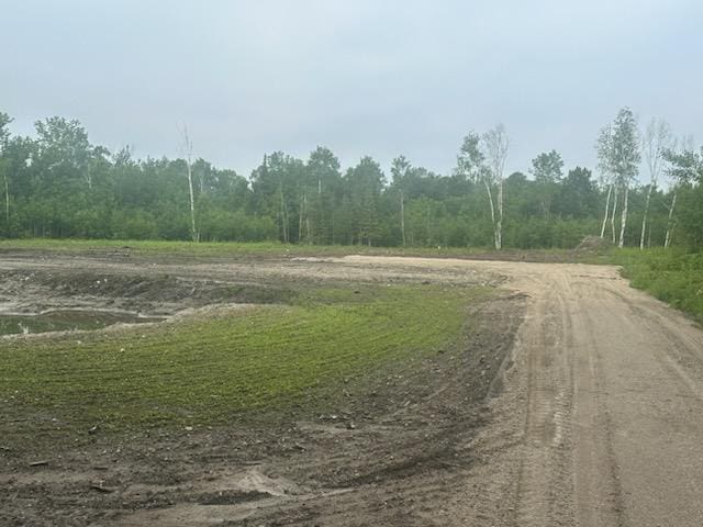 TBD 500th Ave, Salol, MN 56756 - photo 6