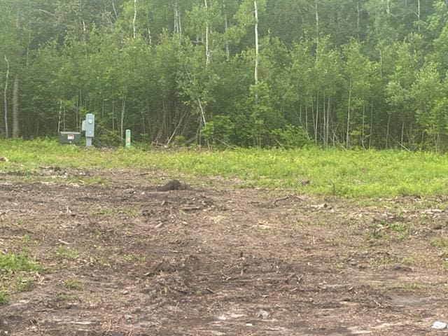 TBD 500th Ave, Salol, MN 56756 - photo 2