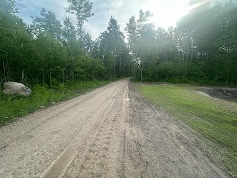 TBD 500th Ave, Salol, MN 56756 - photo 5