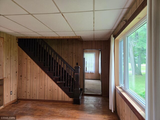1264 389th Ave NE, Stanchfield Twp, MN 55080 - staircase with wooden walls, healthy amount of natural light, wood-type flooring, and a drop ceiling