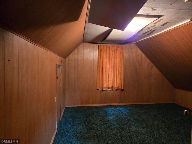 1264 389th Ave NE, Stanchfield Twp, MN 55080 - bonus room with vaulted ceiling, wood walls, and carpet