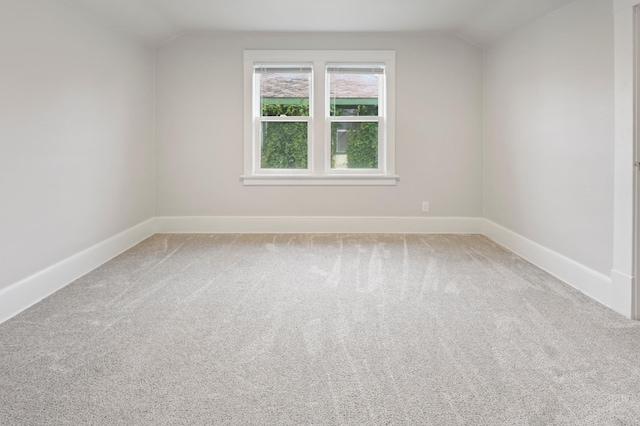 730 13th Ave S, Saint Cloud, MN 56301 - additional living space with lofted ceiling and carpet