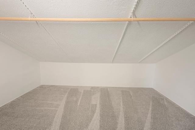 730 13th Ave S, Saint Cloud, MN 56301 - walk in closet with carpet floors