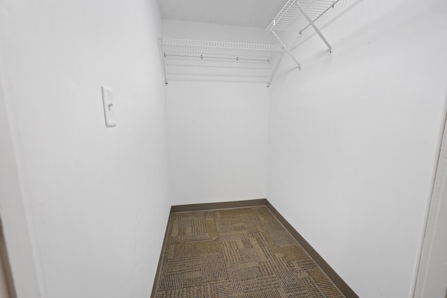 730 13th Ave S, Saint Cloud, MN 56301 - view of spacious closet