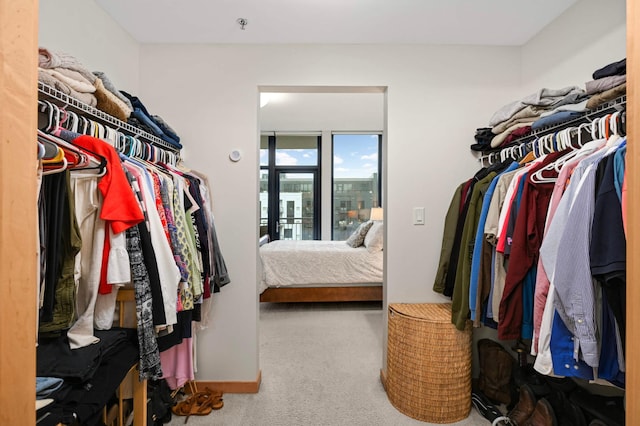 1120 2nd St Unit 1002, Minneapolis, MN 55415 - walk in closet with carpet flooring