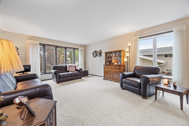 611 4th St NE, Dilworth, MN 56529 - living area with carpet flooring and a textured ceiling