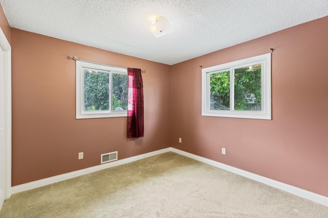2735 Chisholm Ave N, Saint Paul, MN 55109 - unfurnished room featuring carpet and a textured ceiling