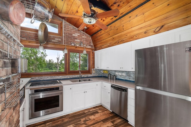 6618 Sumac Dr, Grand Lake Twp, MN 55803 - kitchen with stainless steel appliances, wood ceiling, plenty of natural light, a ceiling fan, and dark wood-type flooring
