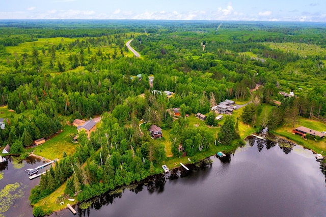 6618 Sumac Dr, Grand Lake Twp, MN 55803 - drone / aerial view of a forest and a large body of water