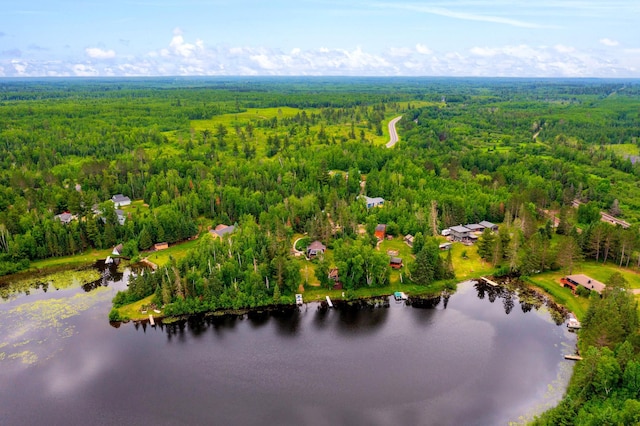 6618 Sumac Dr, Grand Lake Twp, MN 55803 - drone / aerial view of a forest and a large body of water