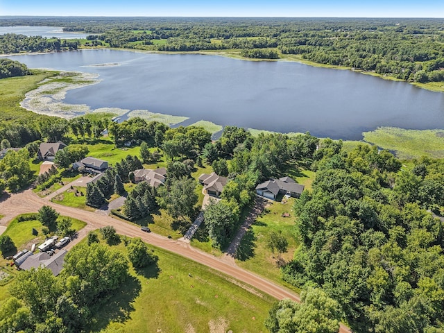 2385 Chad Ct, Fish Lake Twp, MN 55032 - photo 50