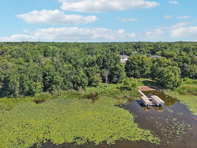 2385 Chad Ct, Fish Lake Twp, MN 55032 - photo 54