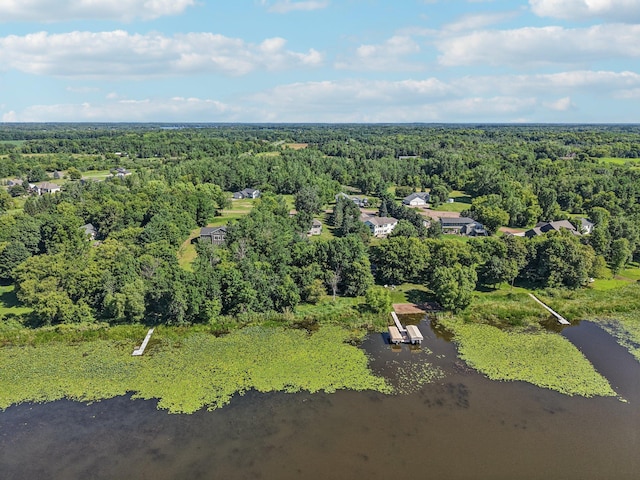 2385 Chad Ct, Fish Lake Twp, MN 55032 - photo 55
