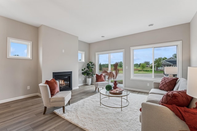 4838 Education Dr N, Hugo, MN 55038 - living room with a glass covered fireplace and light wood-style flooring