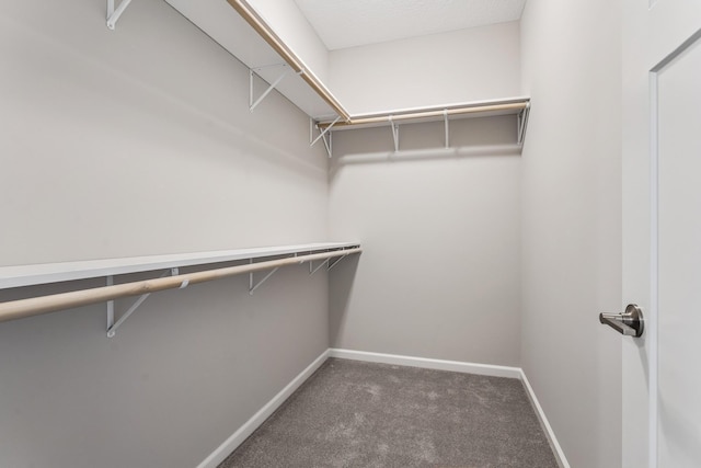 4838 Education Dr N, Hugo, MN 55038 - walk in closet featuring carpet