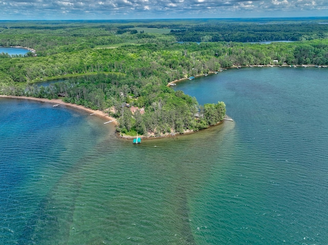 10399 Sandy Beach Rd, Round Lake Twp, WI 54843 - drone / aerial view of a heavily wooded area and a large body of water