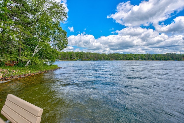 10399 Sandy Beach Rd, Round Lake Twp, WI 54843 - water view with a heavily wooded area