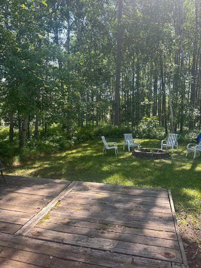 37344 Deer Ridge Rd, Crosslake, MN 56442 - photo 12