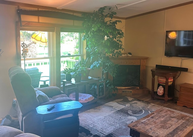 37344 Deer Ridge Rd, Crosslake, MN 56442 - photo 20