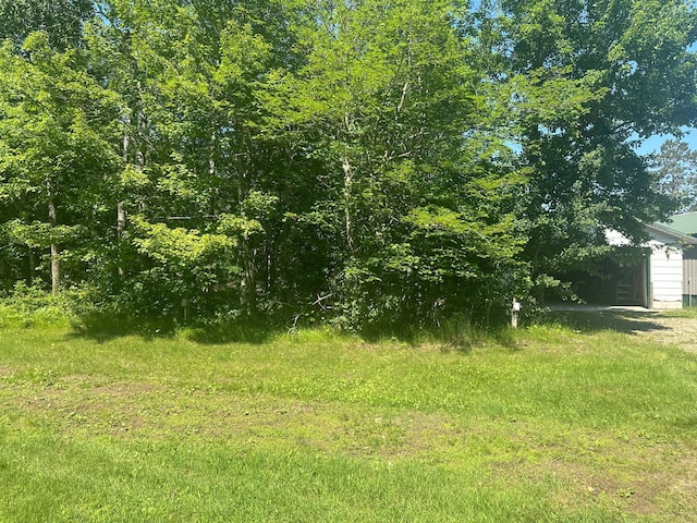 37344 Deer Ridge Rd, Crosslake, MN 56442 - photo 46