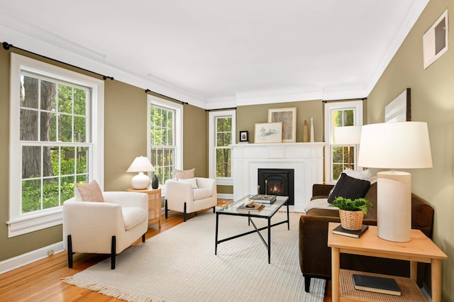 4604 39th St, Saint Louis Park, MN 55416 - living room featuring wood finished floors, a lit fireplace, and crown molding