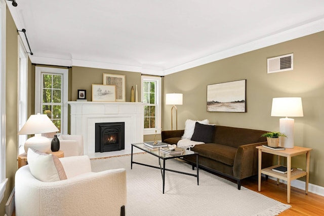 4604 39th St, Saint Louis Park, MN 55416 - living area featuring wood finished floors, healthy amount of natural light, a warm lit fireplace, and crown molding