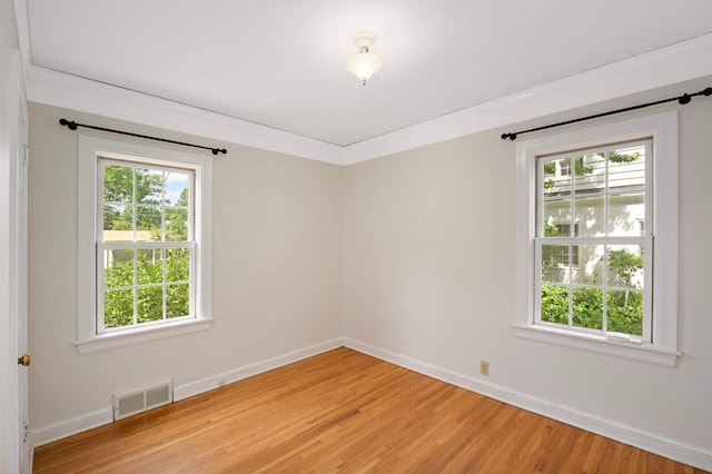 4604 39th St, Saint Louis Park, MN 55416 - empty room with plenty of natural light and light wood-style floors
