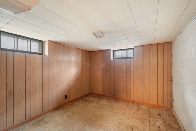 5123 Chicago Ave, Minneapolis, MN 55417 - below grade area with plenty of natural light, light floors, and wood walls