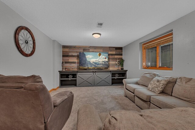 1302 Grizzly Ln, Sartell, MN 56377 - living room with wood walls, carpet floors, a textured ceiling, and an accent wall