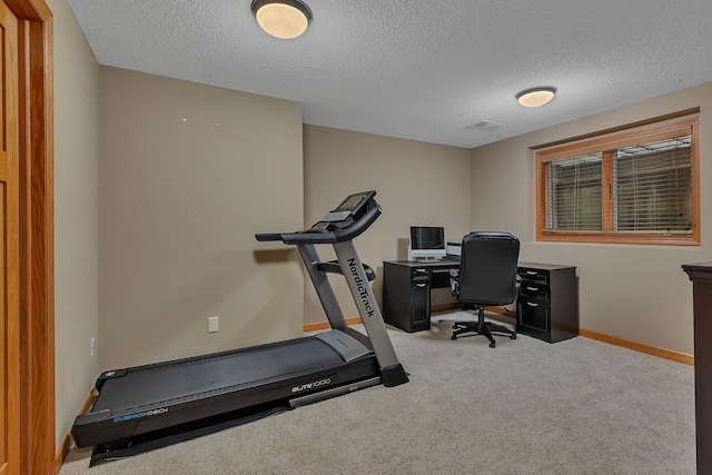 1302 Grizzly Ln, Sartell, MN 56377 - workout room featuring carpet floors and a textured ceiling