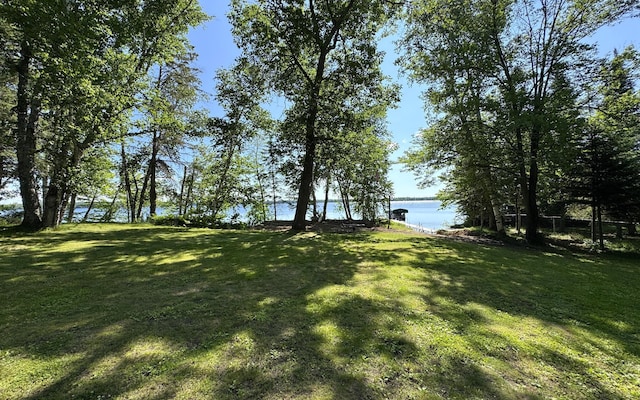 48894 386th Pl, Palisade, MN 56469 - photo 11