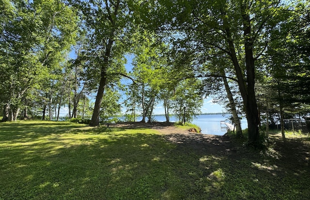 48894 386th Pl, Palisade, MN 56469 - photo 12