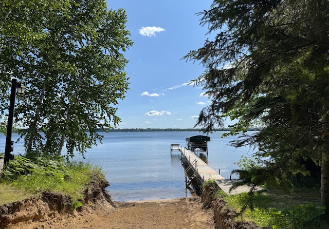 48894 386th Pl, Palisade, MN 56469 - photo 14