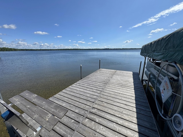 48894 386th Pl, Palisade, MN 56469 - photo 18