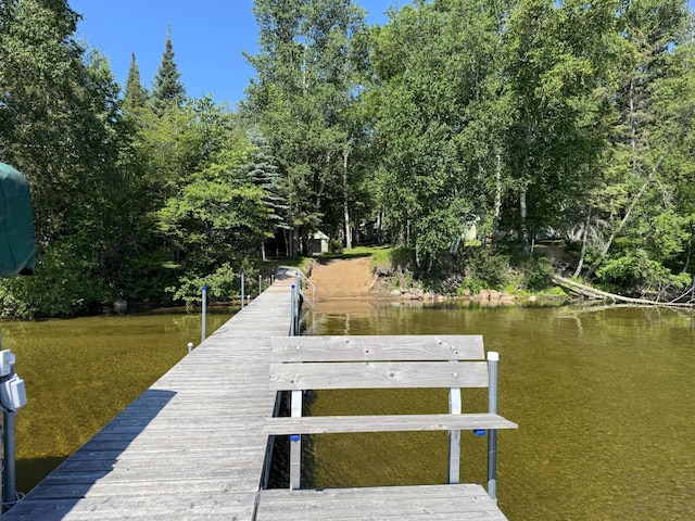 48894 386th Pl, Palisade, MN 56469 - photo 20