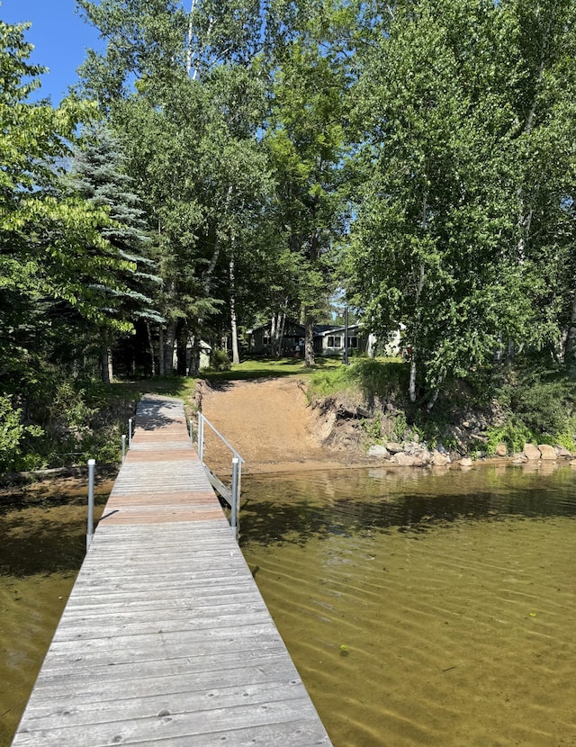 48894 386th Pl, Palisade, MN 56469 - photo 21