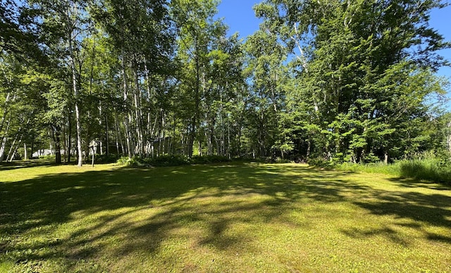 48894 386th Pl, Palisade, MN 56469 - photo 23