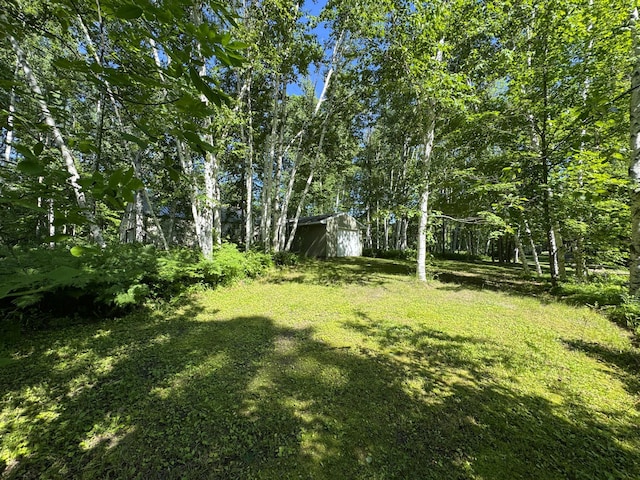 48894 386th Pl, Palisade, MN 56469 - photo 39