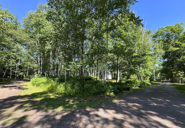 48894 386th Pl, Palisade, MN 56469 - photo 40