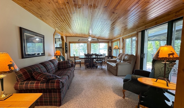 48894 386th Pl, Palisade, MN 56469 - photo 49
