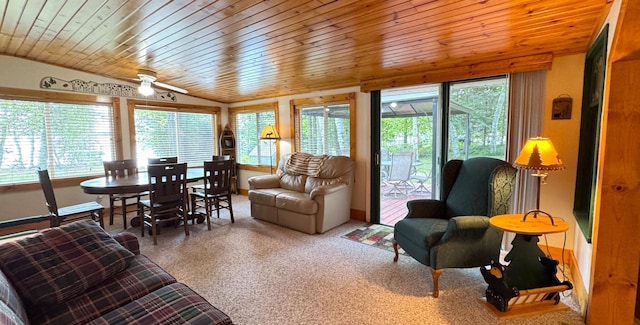 48894 386th Pl, Palisade, MN 56469 - photo 50