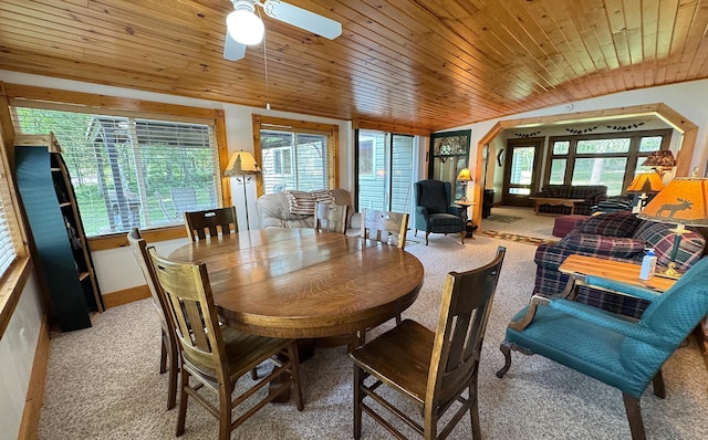 48894 386th Pl, Palisade, MN 56469 - photo 51