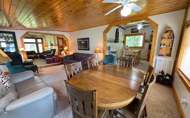 48894 386th Pl, Palisade, MN 56469 - photo 52