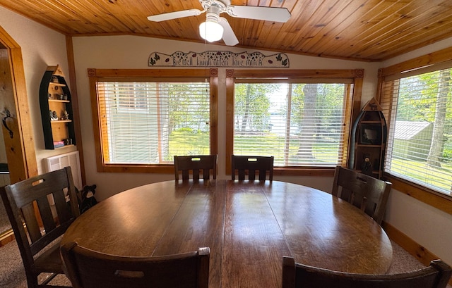 48894 386th Pl, Palisade, MN 56469 - photo 53