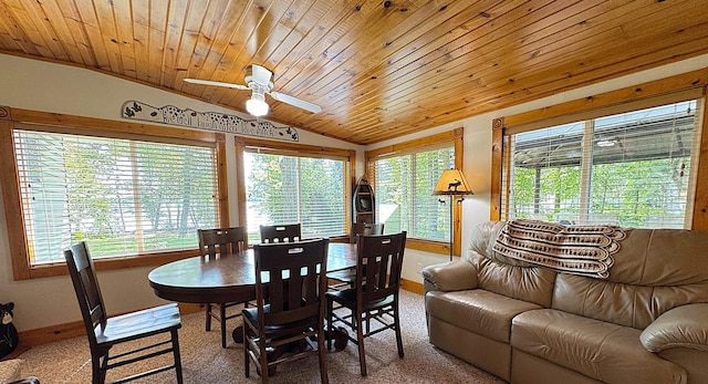 48894 386th Pl, Palisade, MN 56469 - photo 54
