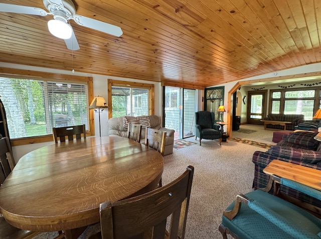 48894 386th Pl, Palisade, MN 56469 - photo 55