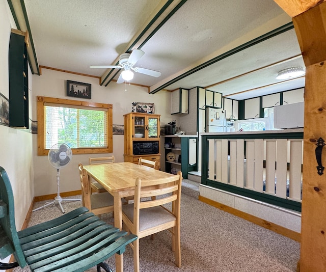 48894 386th Pl, Palisade, MN 56469 - photo 57