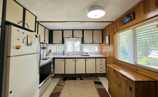 48894 386th Pl, Palisade, MN 56469 - photo 59